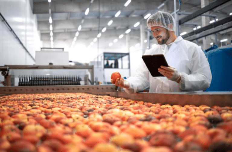 Imagem do artigo indústria de alimentos