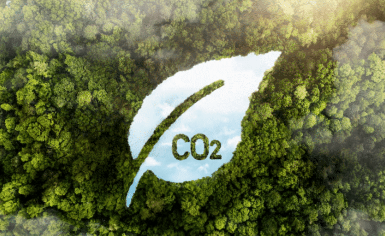 Imagem do artigo de pegada de carbono